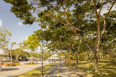 Las Vegas Park